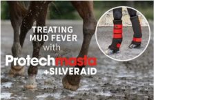 Protechmasta SilverAid Boots Treating Mud Fever - Speed up recovery and aid healing