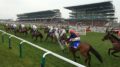 Cheltenham Gold Cup is held at the Cheltenham Festival each year on a Friday