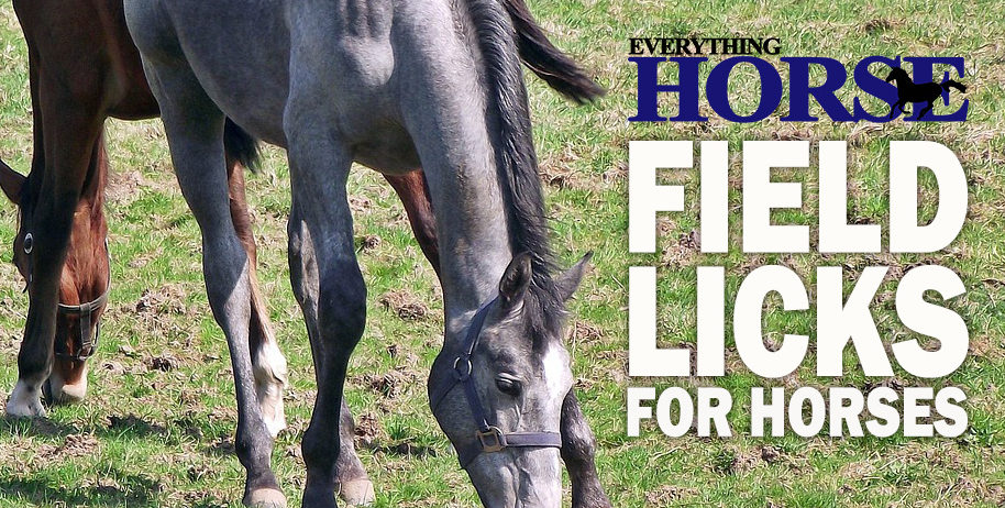 Field Licks for Horses