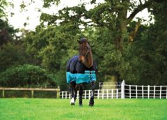 MIO Lite Turnout Rug Tried and Tested