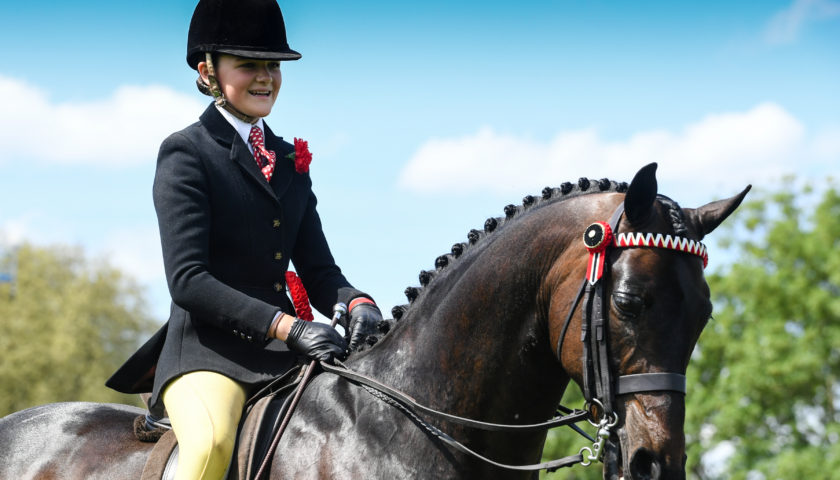 Walton Highwayman (Owned by HM The Queen) and ridden by Kinvara Garner during the Part Bred and Anglo Arab Championship showing Championship during in Royal Windsor Horse Show private grounds of Windsor Castle, in Windsor in the county of Berkshire, UK on 9th May 2018