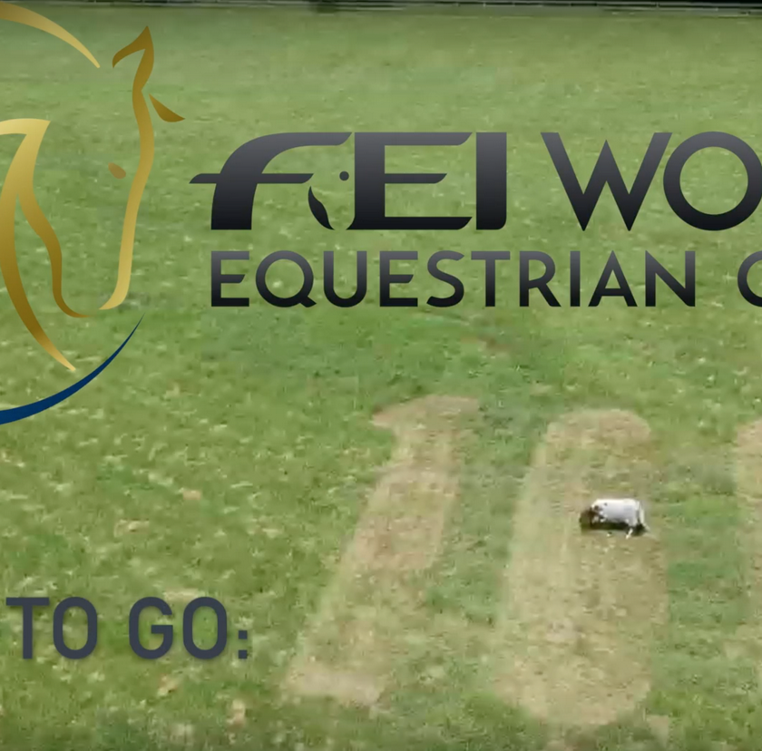100 days to go until the 2018 World Equestrian Games