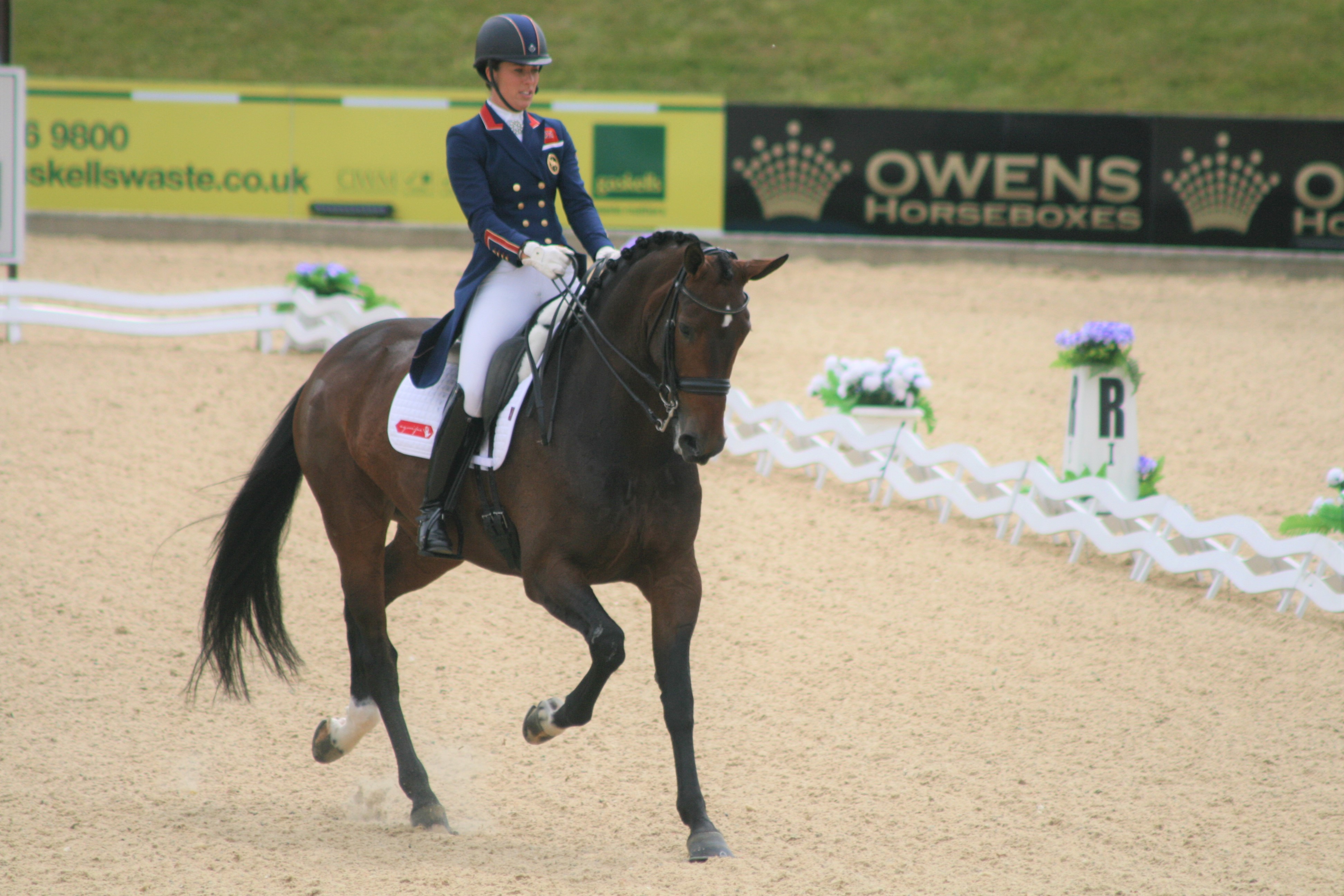 Great Britain’s Dressage Worlds’ Short List Announced - Everything Horse