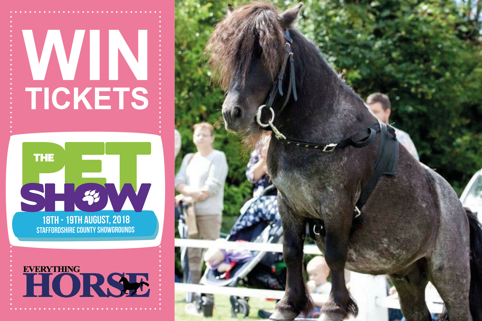 win tickets to The Pet Show