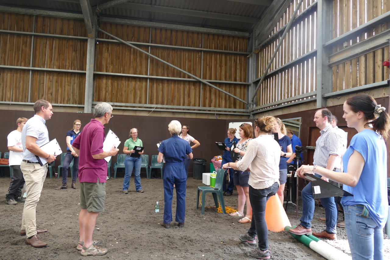 A new method for equine performance assessment has been tested on vets