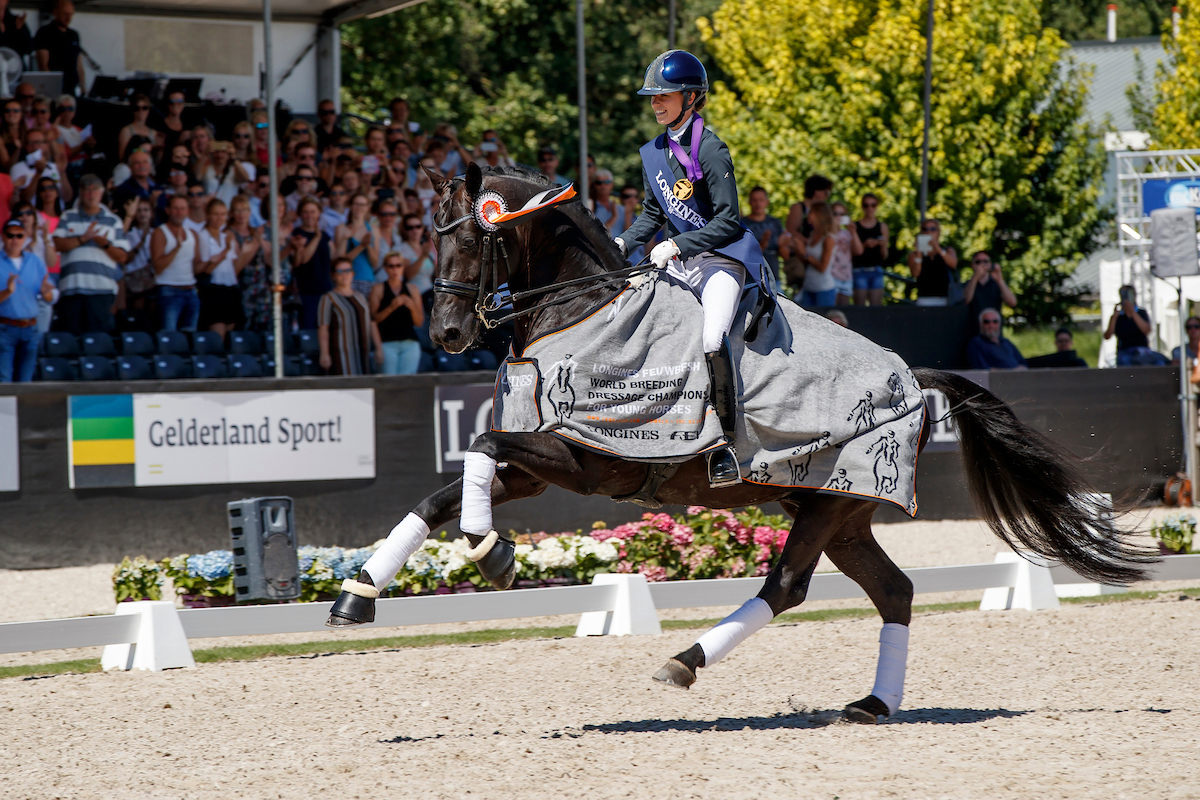 The fabulous black stallion, Glamourdale, nd British rider Charlotte Fry won the Seven-Year-Old Final for Great Britain’s Charlotte Fry at the Longines FEI/WBFSH World Breeding Dressage Championships 2018 in Ermelo (NED). (FEI/Dirk Caremans)