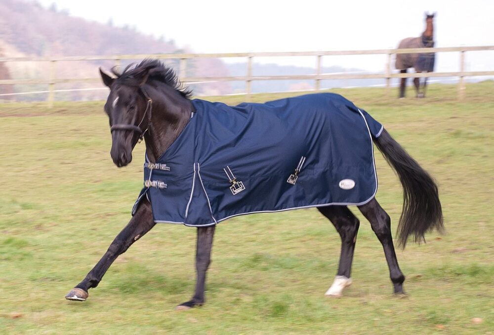 Rhinegold Torrent Outdoor Rug Lightweight.No fill