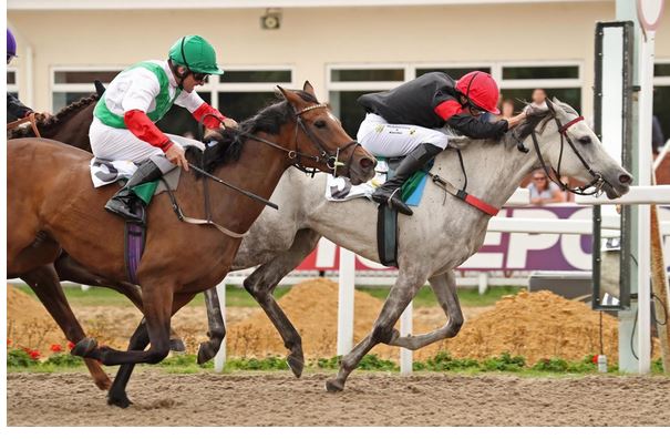 arabian racing returns to ascot