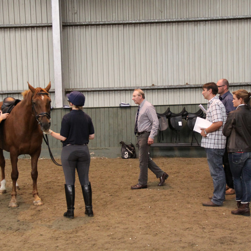 Saddle fitting course from the Society of Master Saddlers