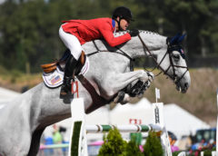 FEI World Equestrian Gamesª Tryon USA McLain Ward of the United States on Clinta