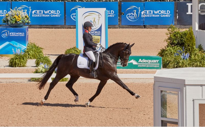 FEI World Equestrian Games™ Tryon USA Sophie Wells GBR on C Fatal Attraction Photo FEI/Liz Gregg