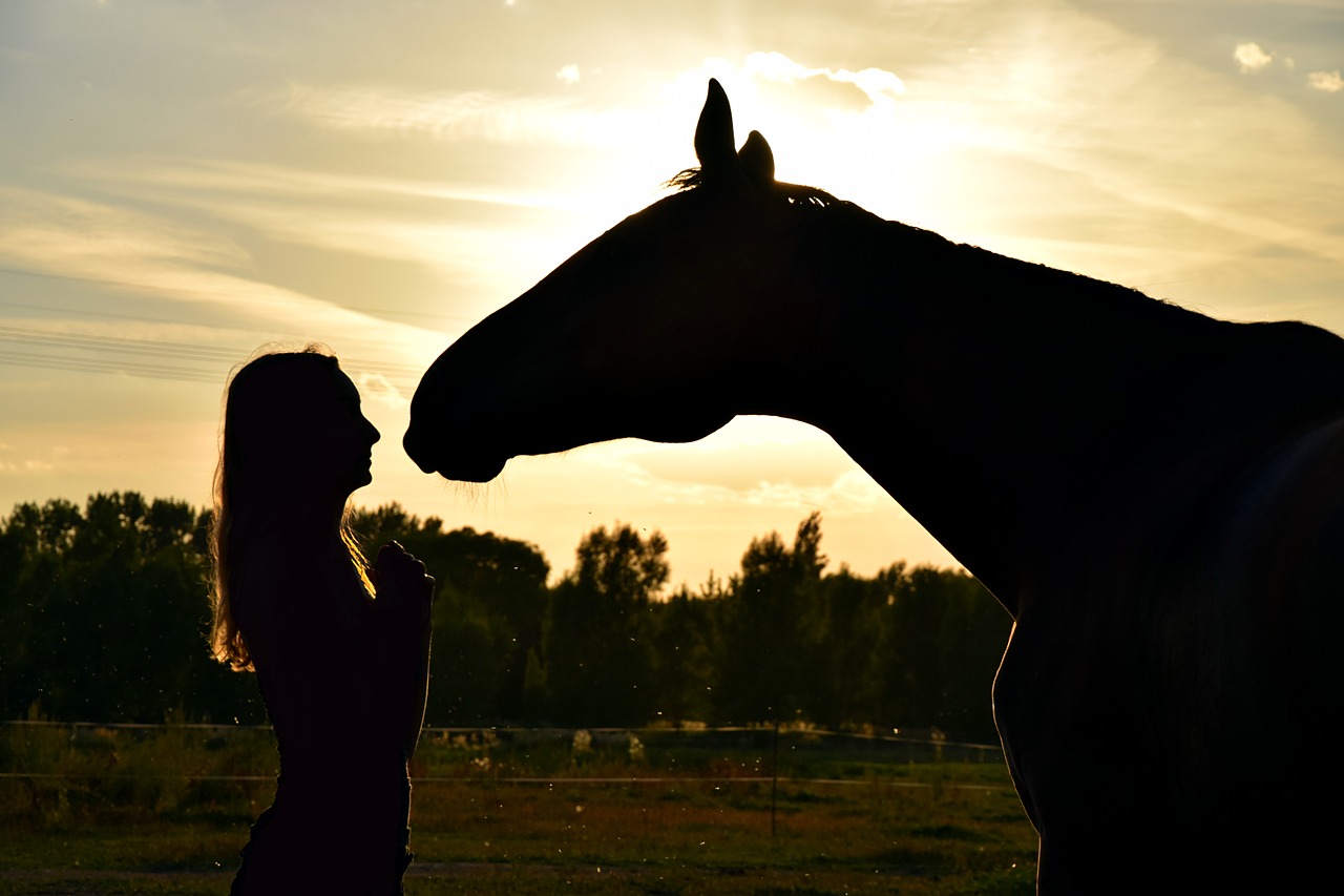 The Benefits of Therapy Horses