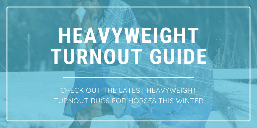 best heavyweight turnout rugs