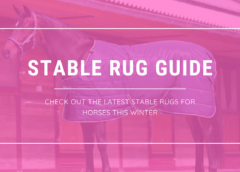 Best Stable Rugs for Winter 2021