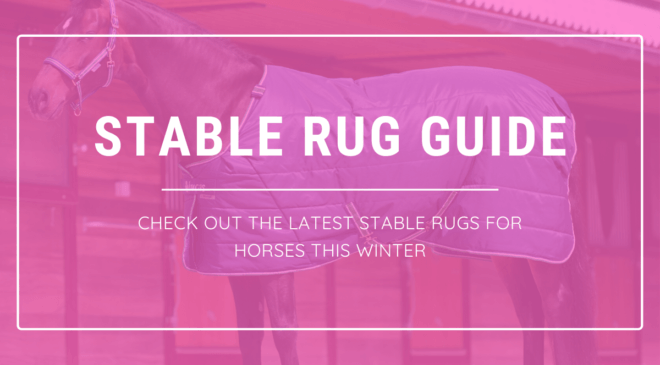 best stable rugs winter 2020