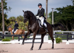 Stephen Hayes competing Lou Heart in the PSG at Global Dressage 2018