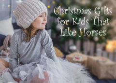 Christmas Gifts for Kids that like Horses