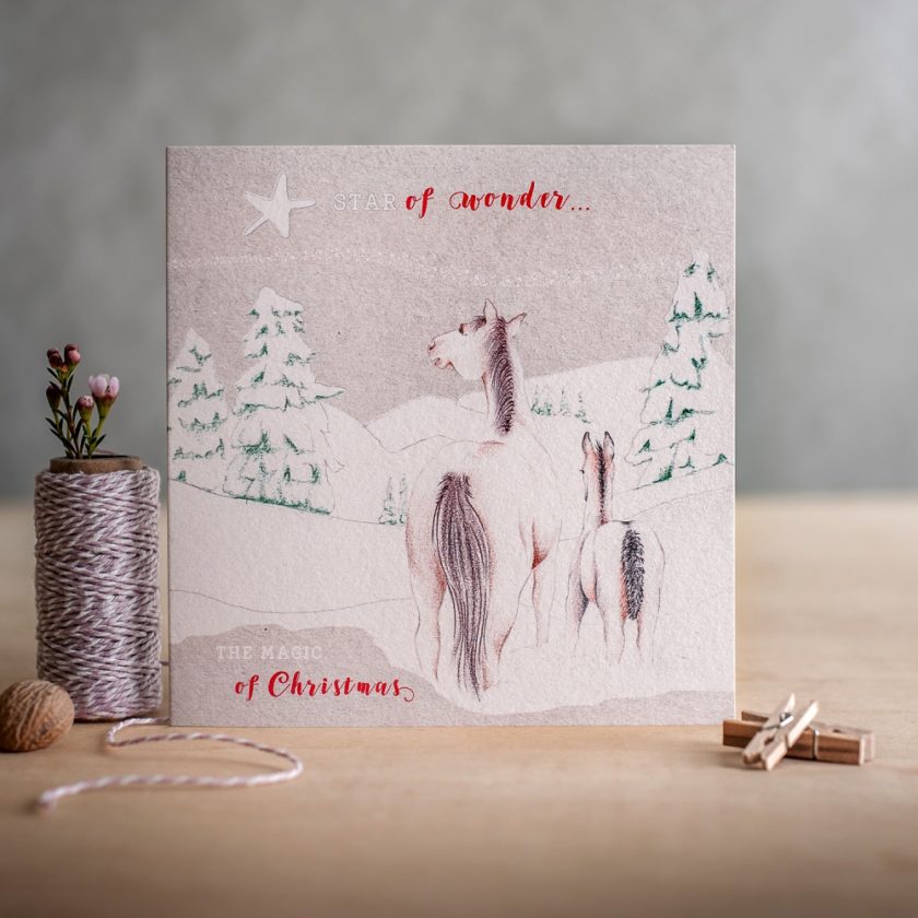 Horse Themed Christmas Cards 2018 Everything Horse   World Horse Welfare Christmas Cards 840x840 