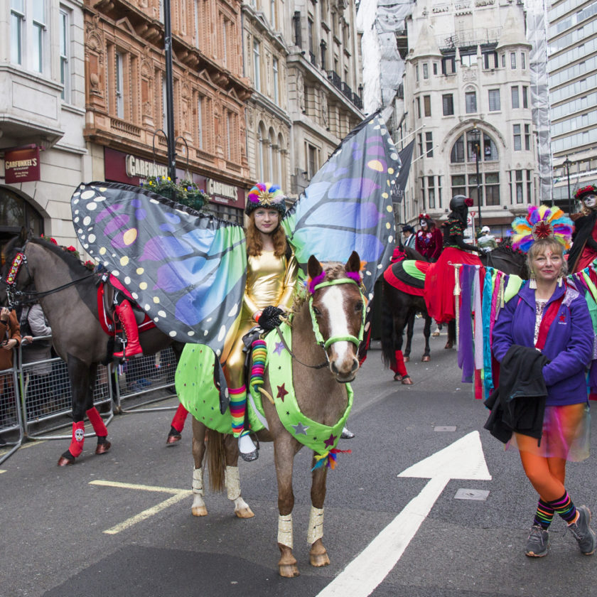 Even ponies get to go big in costume. photo by Jo Monck