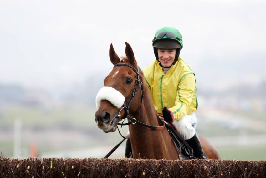 successful horses at Cheltenham Image for illustration only Source: facebook.com/kevinblakehorseracing