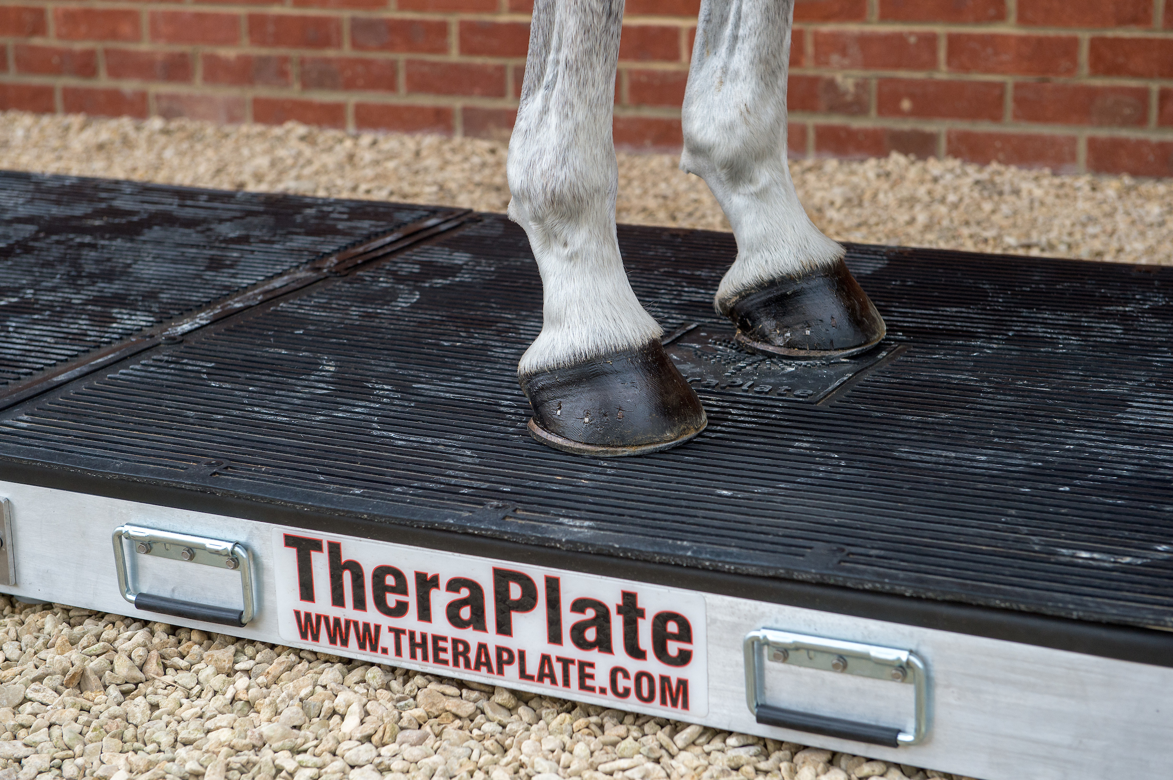 TheraPlate UK to offer new rental option