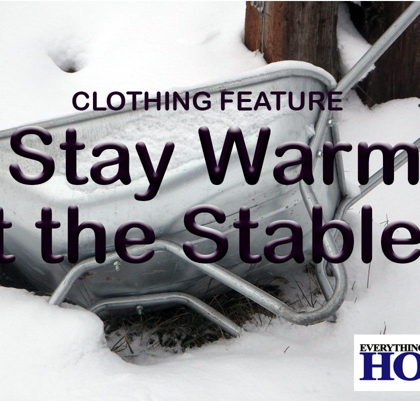 equestrian thermal clothing feature January 2019