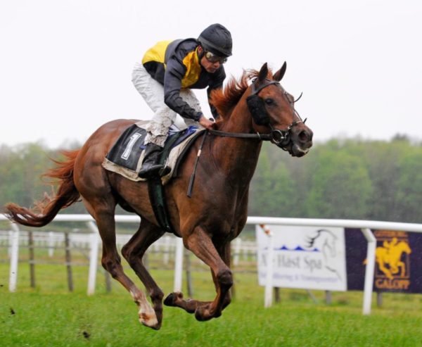 Horse racing Illustration only