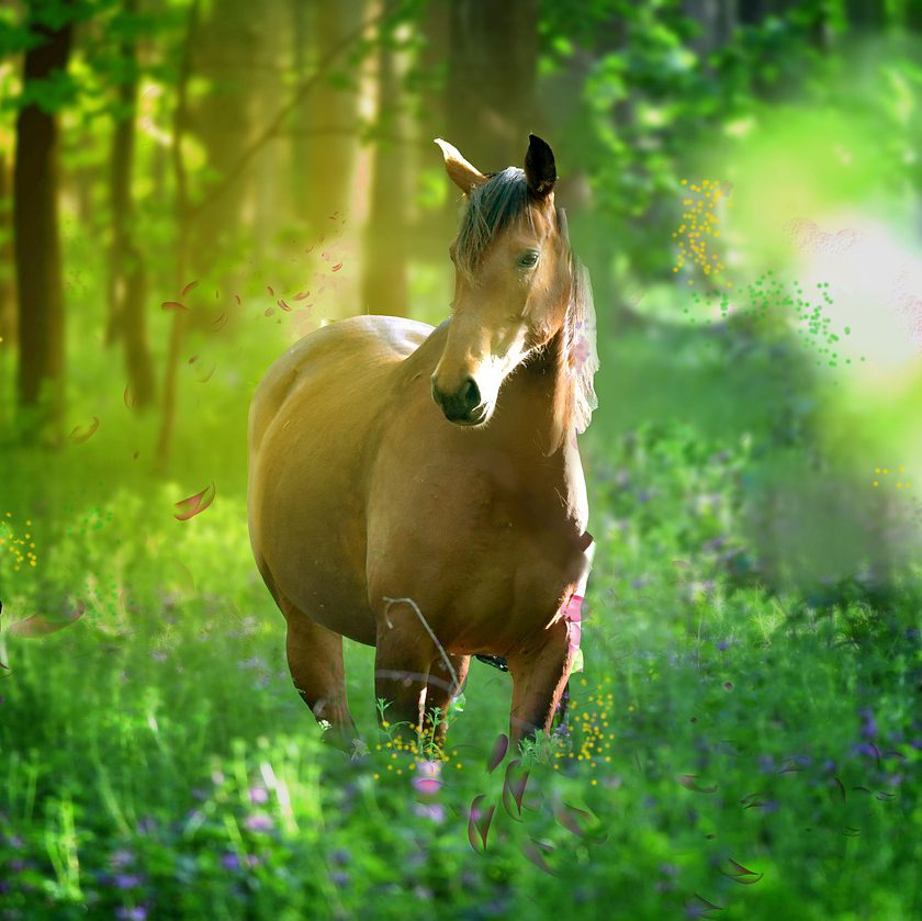 A Horse Owners Guide to Surviving Spring.