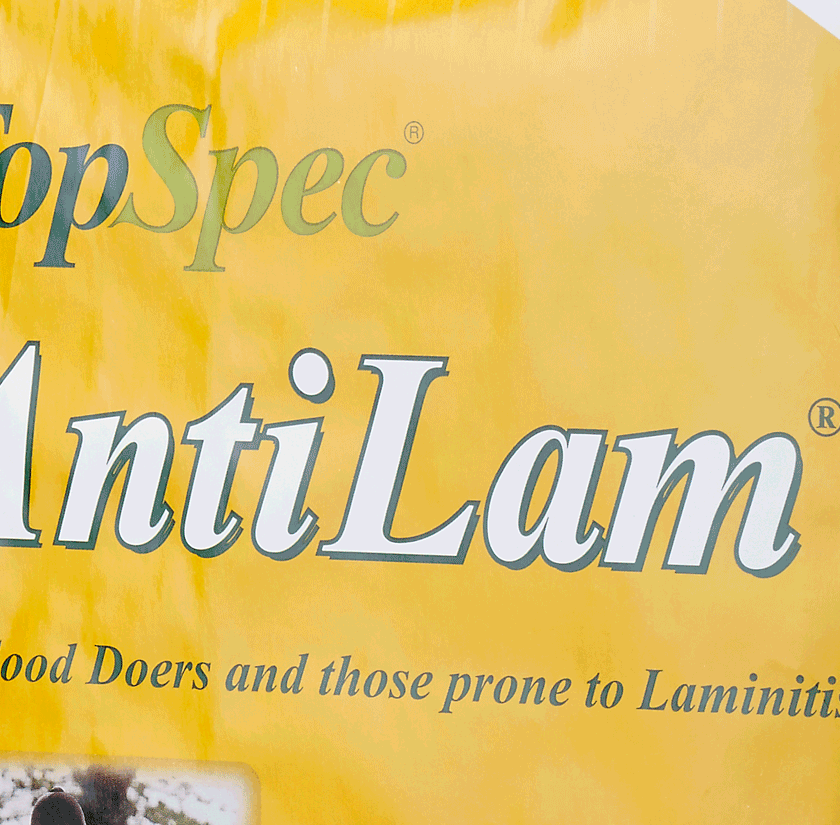 TopSpec AntiLam Offer
