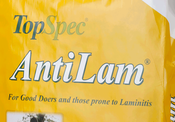TopSpec AntiLam Offer