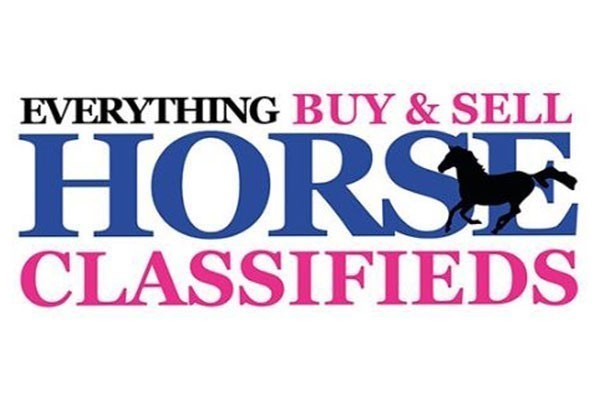 Horses for Sale - Everything Horse Classifieds