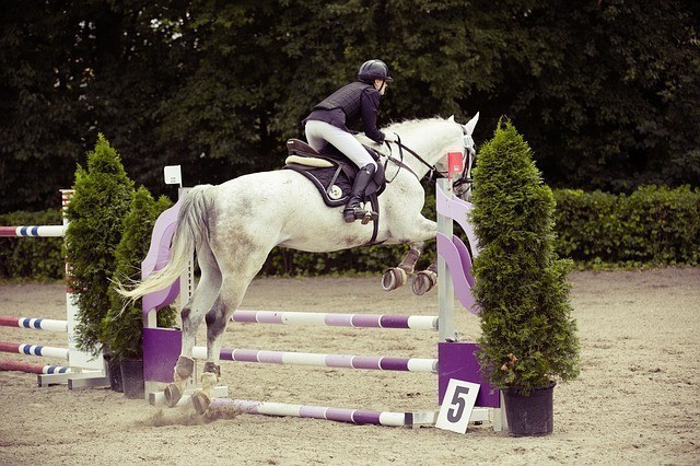 British Riding Clubs Announce Rewards For Members Competing In British Showjumping