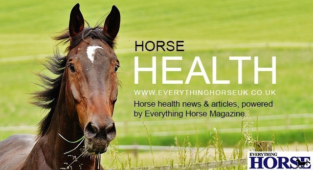 Horse Health articles on Everything Horse image