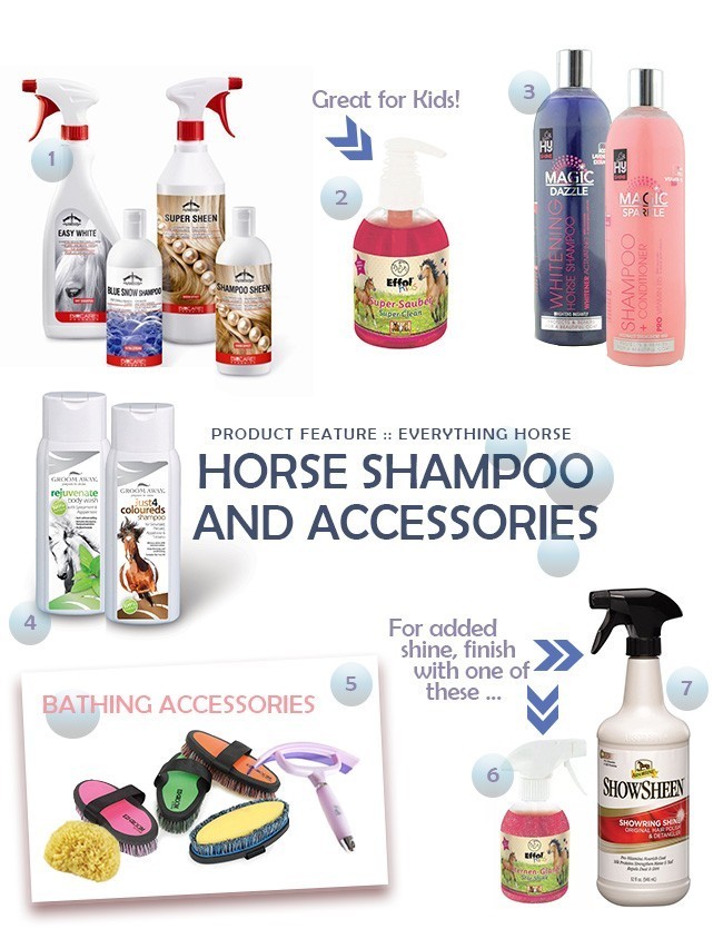 Horse Shampoo and Accessories