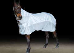 horse sun protection type - Hy Defence AirFlow 600D Combo Fly Rug