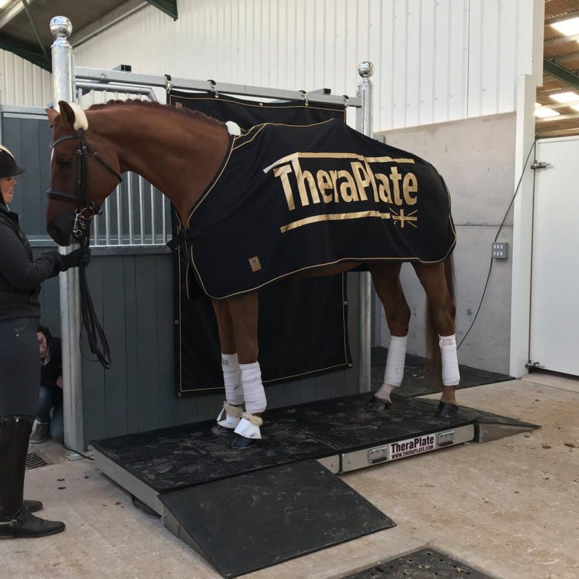 Sarah Higgins on the TheraPlate