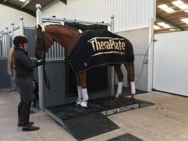 Sarah Higgins on the TheraPlate