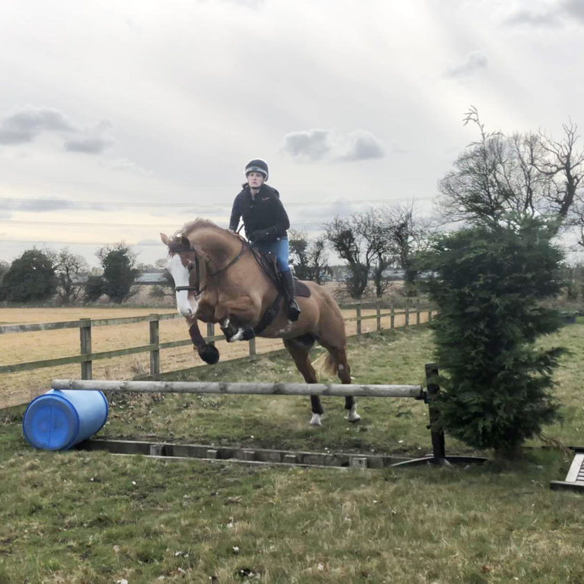 Training Jumping ditches - To introduce your horse to a trakehner use a showjumping pole above the ditch.