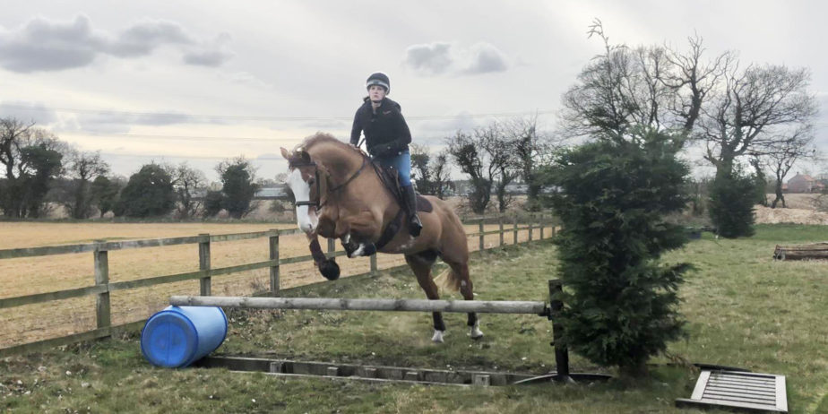Training Jumping ditches - To introduce your horse to a trakehner use a showjumping pole above the ditch.