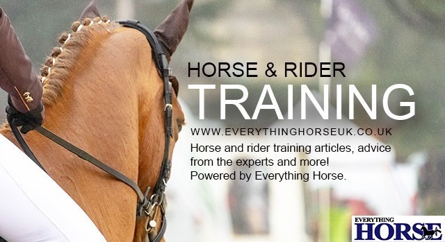 horse and rider training horse training everything horse
