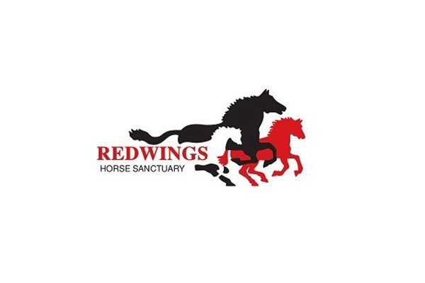 redwings horse show - redwings horse sanctuary