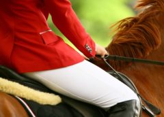 International Showjumper Banned For Using Spiked Boots