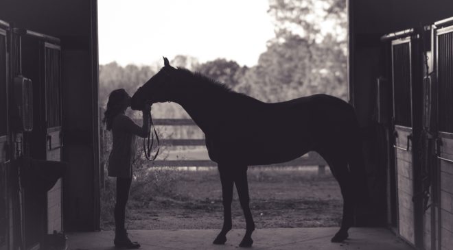 10 Things to do with Your horse this Summer