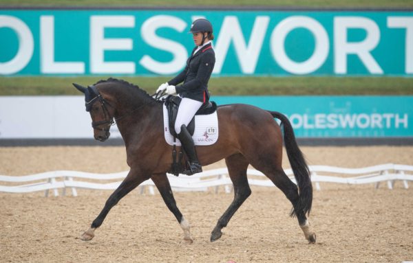 Alex Hardwick (GBR) and Izaloe - The Brooke Dressage Test for 6-Year Old Horses Final - The Equerry Bolesworth International Horse Show 2019