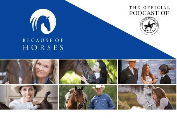 American Horse Publications 2019 winner Because of horses