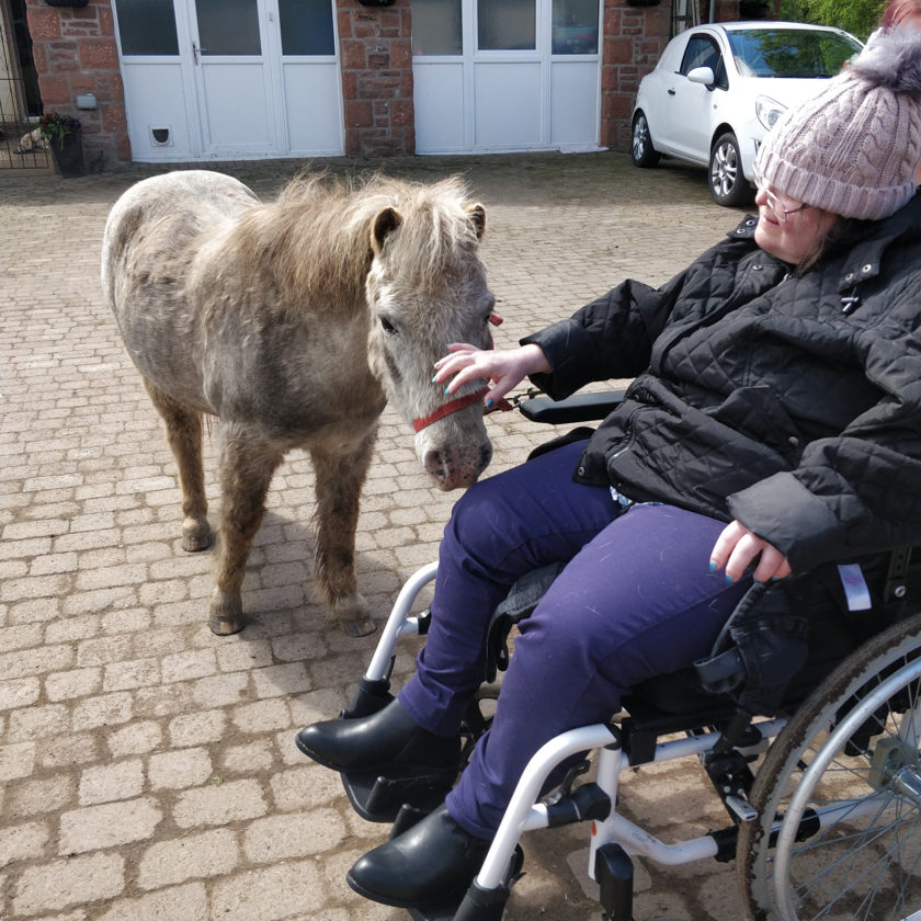 Happy Hooves Accessibility Mark Centre has received funding that has helped to expand the number of people that can benefit from Equine Therapy.