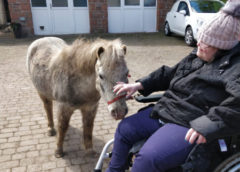 Happy Hooves Accessibility Mark Centre has received funding that has helped to expand the number of people that can benefit from Equine Therapy.