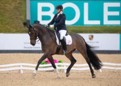 Bolesworth cancels  Bloomfields Horseboxes CDI 3* International Dressage