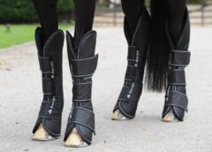 Best Travel Boots for Horse - Everything Horse