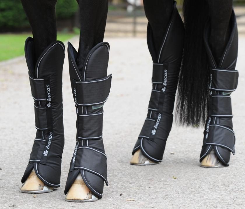 6 of the Best Travel Boots for Horses Everything Horse